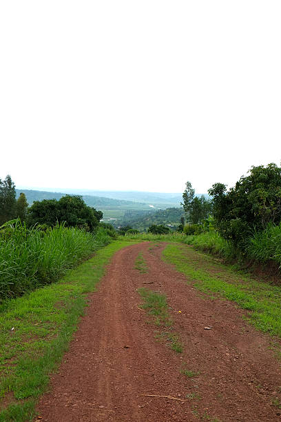 istock Rwanda:  The Nyabarongo river close to Kigali / Rebero 508028920