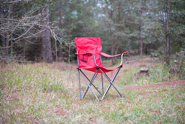 istock Red picnic chair on the forest 508030276