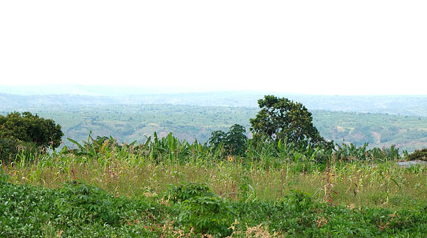 istock Rwanda: countryside close to Kibungo (Remera) 508030636