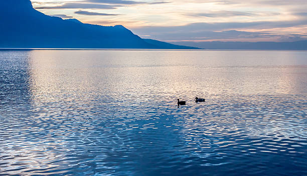 istock Beautiful view on sunset at Geneva Lake 508030930