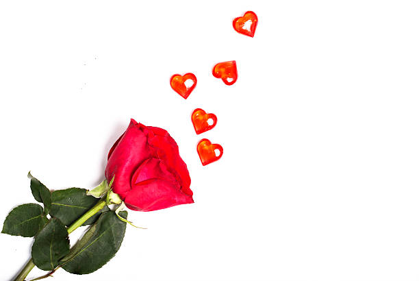istock Red rose  and randomly the scattered red hearts glass 508030978