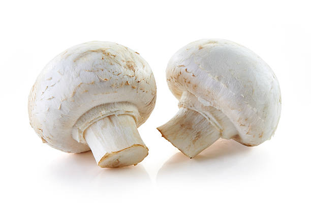 istock champignon mushrooms on white background 508032840