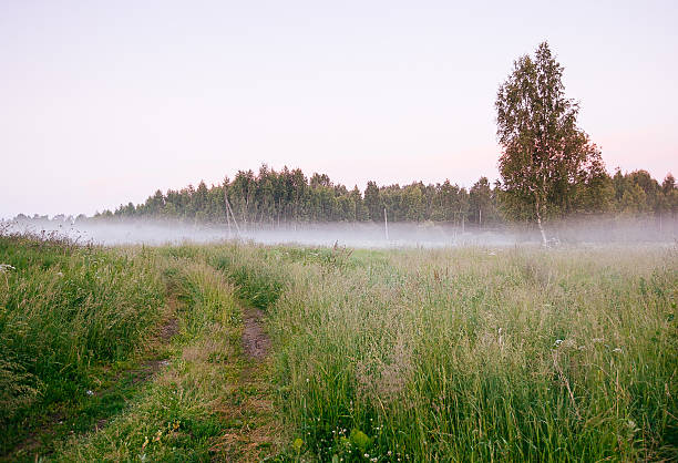 istock Beautiful thick fog sunrise Autumn Fall landscape over fields wi 508033118