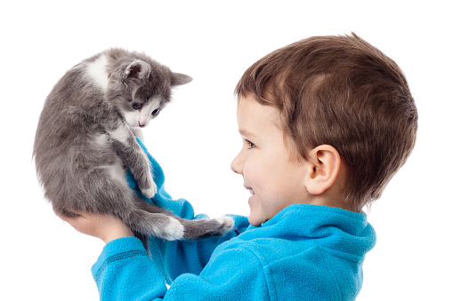 Little boy holding in hands adorable kitten, isolated on white