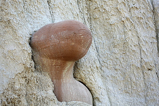 istock Cannonball concretions 508035048