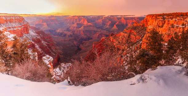 istock Grand canyon in the winter panorama 508035988