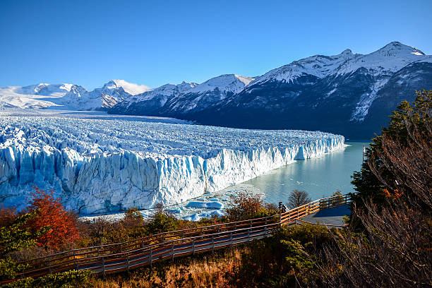 glaciar ペリトモレノ - argentine glaciers national park ストックフォトと画像