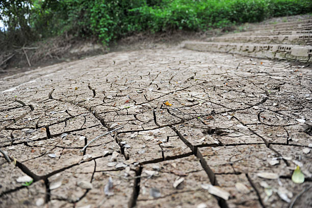 istock land with dry cracked ground 508036892