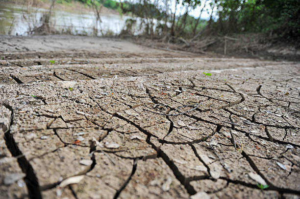 istock land with dry cracked ground 508037012