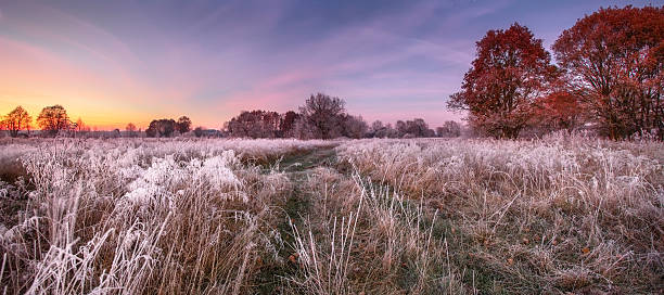 istock Colorful autumn sunrise 508037448