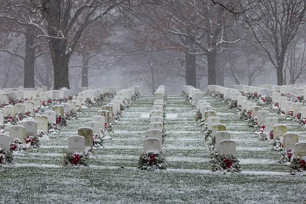 Photo of Snow at Arlington National Cemetery