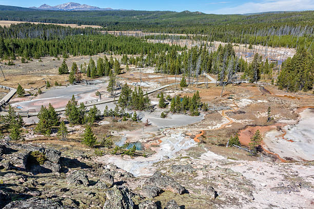 Scenic Norris Geyser Basin the scenic landscape of norris geyser basin in yellowstone national park wyoming norris geyser basin photos stock pictures, royalty-free photos & images