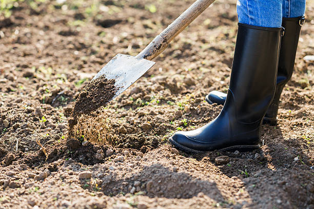 istock Shoveling in the garden 508037972