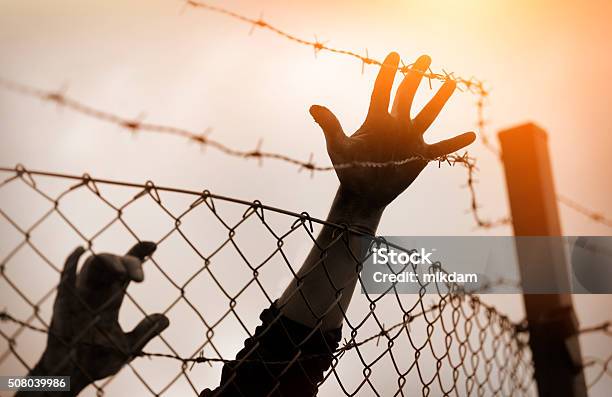 Refugee Men And Fence Refugee Concept Stock Photo - Download Image Now - War, Immigrant, Barbed Wire