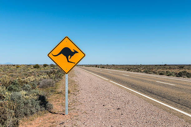Kangaroo Road Sign, Outback, Australia. Blue Sky, Horizontal. Kangaroo road sign, northern South Australia. Flat, dry landscape with roadside saltbush. kangaroo crossing sign stock pictures, royalty-free photos & images