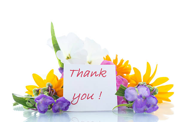 istock floral bouquet of different flowers 508047631