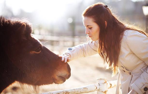 istock Young woman stroking pony in mini zoo 508047691