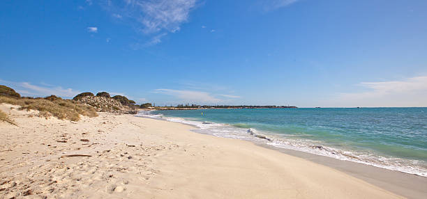istock Rottnest Island, Western Australia 508049611