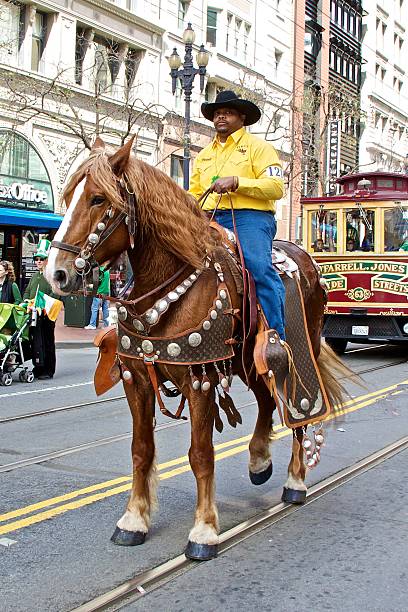 clydesdale and his rider at saint patrick's day parade - clydesdale stok fotoğraflar ve resimler