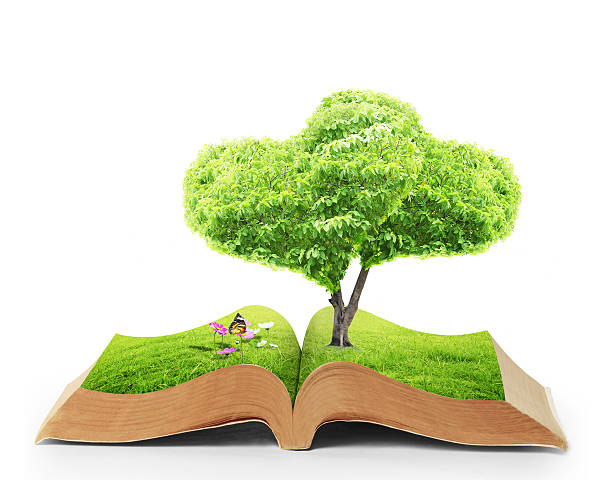 istock Open book of nature 508050733