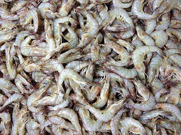 istock Prawn in the wet market 508051739