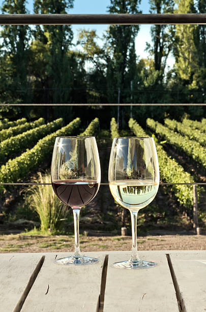 istock Glasses of wine 508053368