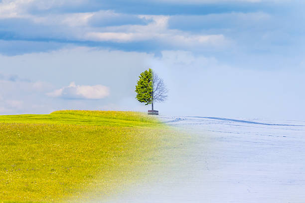 istock Climate change from summer to winter time over the year 508053840