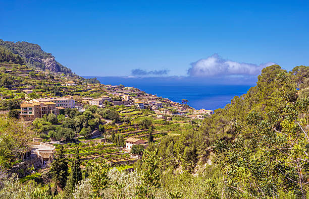 Banyalbufar village and terraced fields on Mallorca (Spain) Banyalbufar, a seaside village located on the north coast of Mallorca at the Tramuntana´s mountains, and famous for the "marjades" (stepped slopes), agriculture and winery. banyalbufar stock pictures, royalty-free photos & images
