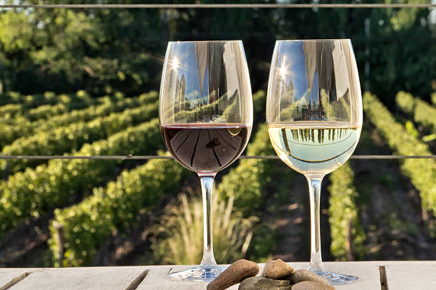 istock Glasses of wine 508055052