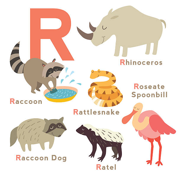R Letter Animals Set English Alphabet Vector Illustration Stock  Illustration - Download Image Now - iStock