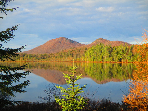 Mirror image on pond in the Adirondacks