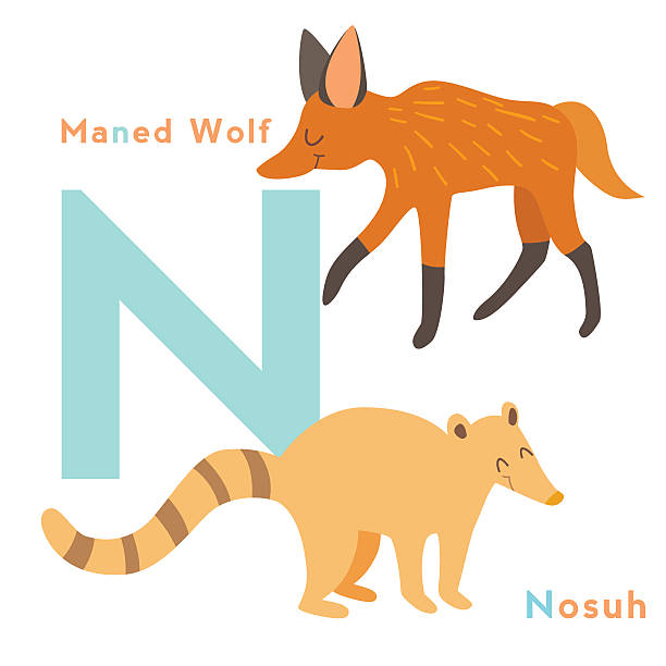 illustrations, cliparts, dessins animés et icônes de n lettre ensemble d'animaux. alphabet anglais. illustration vectorielle - loup à crinière