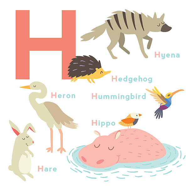 H Letter Animals Set English Alphabet Vector Illustration Stock  Illustration - Download Image Now - iStock