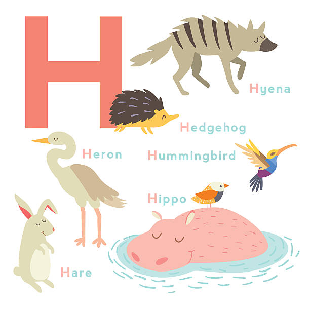 H Letter Animals Set English Alphabet Vector Illustration Stock Illustration - Download Image Now - iStock H Letter Animals Set English Alphabet Vector Illustration Stock Illustration - Download Image Now - iStock