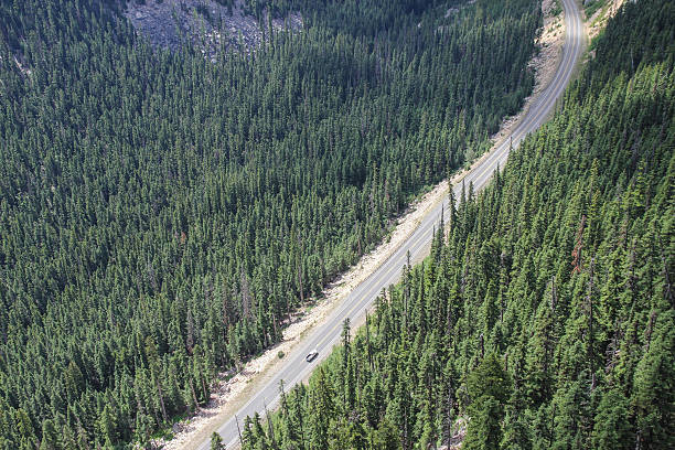 istock Car drives through a forest and mountain pass 508055542