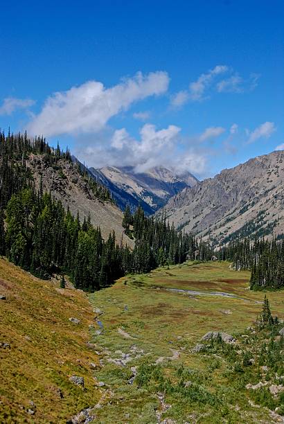 istock Arrowhead Meadow, Olympic National Park 508055996