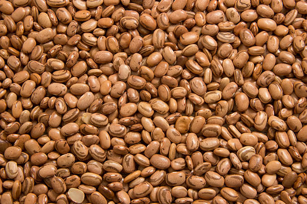 Carioca Bean Texture 
Brown bean texture bean stock pictures, royalty-free photos & images