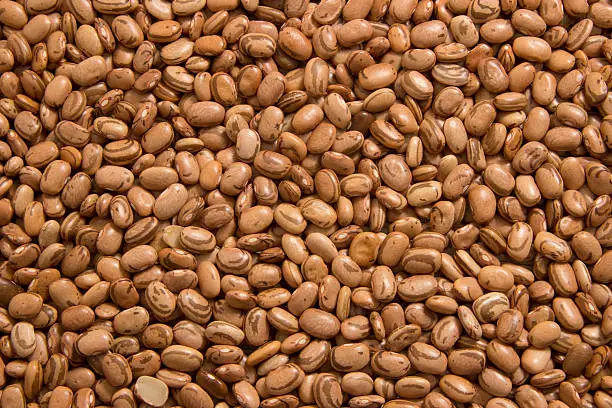 
Brown bean texture