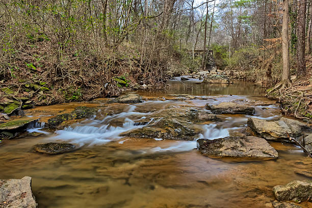 istock Burnt Fork Creek in Atlanta, GA 508059812