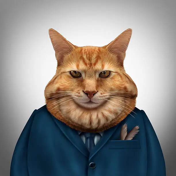 Photo of Business Fat Cat