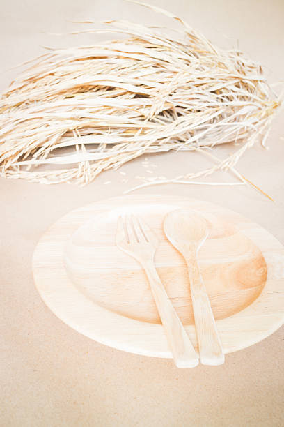 Wooden dish set and paddy rice, stock photo