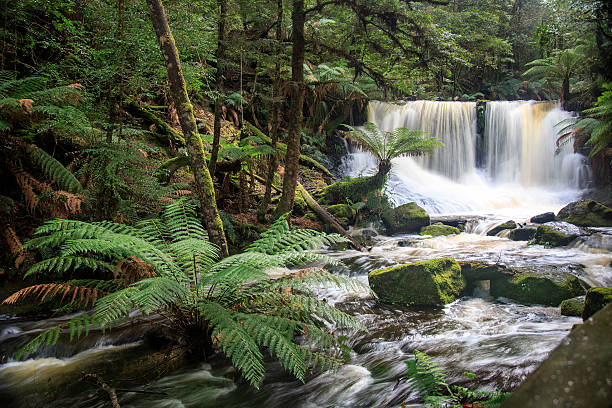 istock Horseshoe Falls, Mt Field National Park 508062716