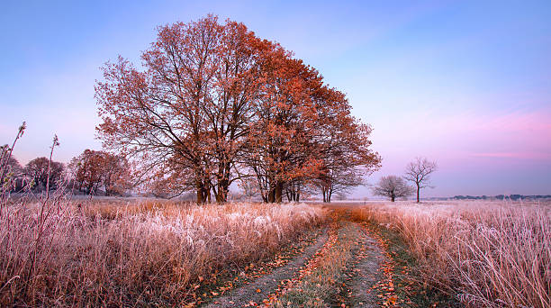 istock Colorful autumn sunrise 508063078
