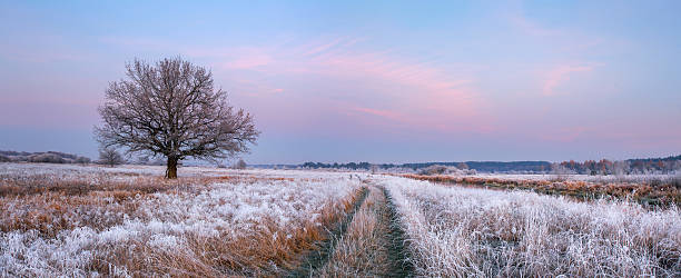 istock Frosty autumn morning 508063166