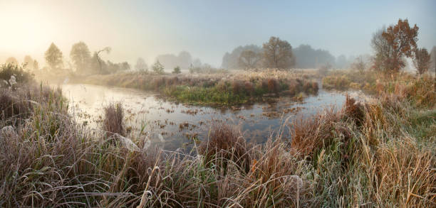 istock Misty autumn sunrise 508063326