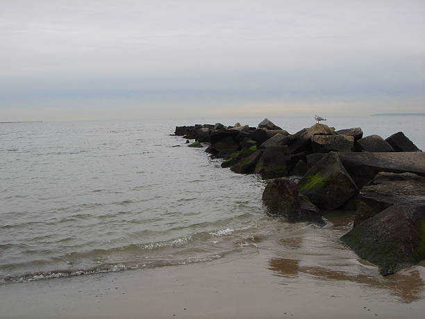 Seagull Sitting on Jetty at Brighton Beach on a Gloomy Day.
