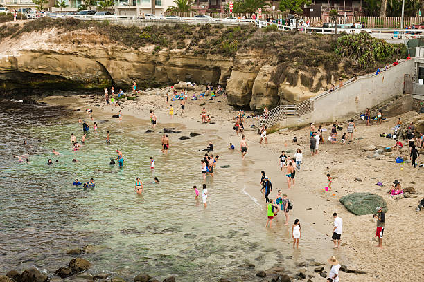 praia la jolla - la jolla cove - fotografias e filmes do acervo