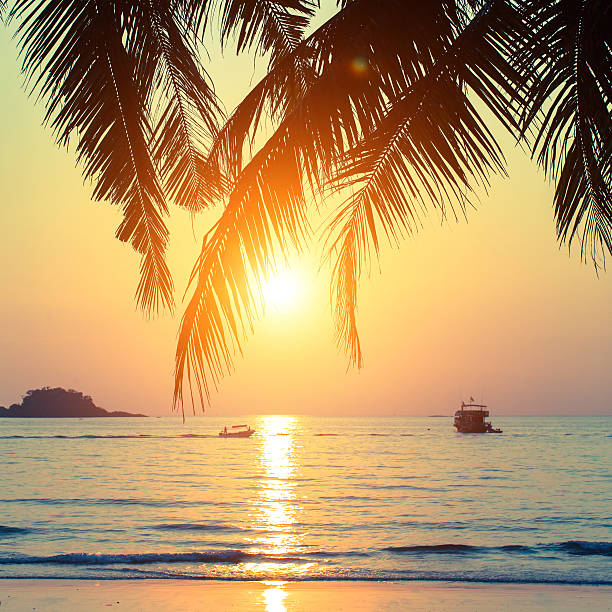 Beautiful sunset on the tropical coast.