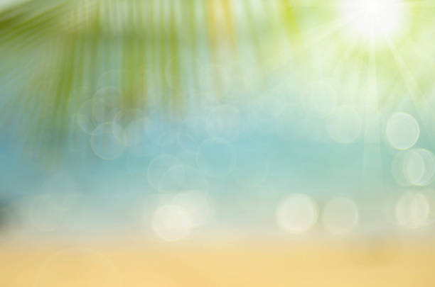 istock Blur palm leaf on tropical bokeh wave beach abstract background. 508069780