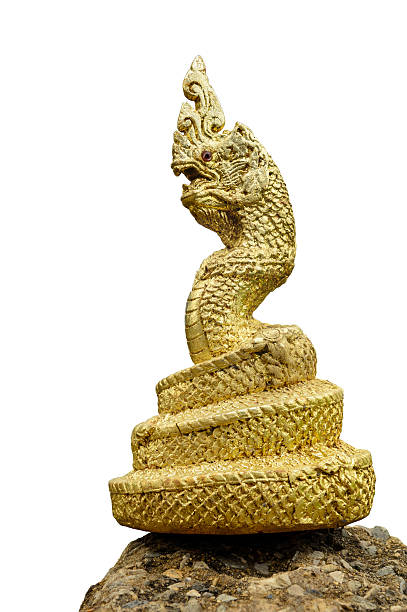 statue de de dragon de style thaïlandais. - thailand animal asia bayonet photos et images de collection